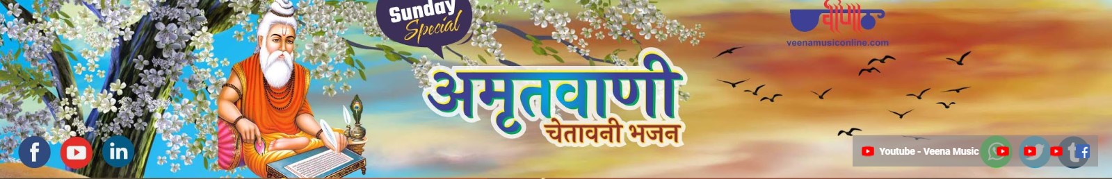 Veena Bhakti